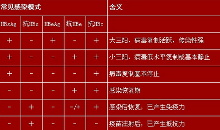 乙肝核心抗原HBcAg